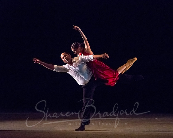 Volver - pc Sharen Bradford-3803