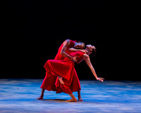 DBDT_Memoirs 2015 DDF-3689