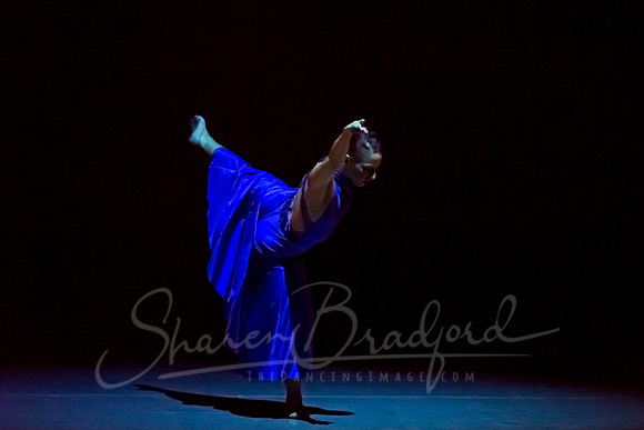 Following Echoes - pc Sharen Bradford-3043