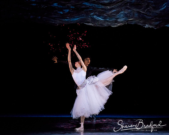 Beijing Dance Theater pc Sharen Bradford-0205