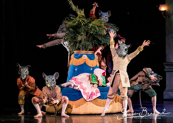 Nutcracker matinee pc Sharen Bradford-4698