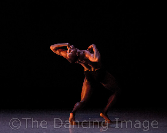 Alvin Ailey ADT-2241