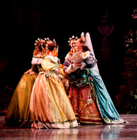 TB Sleeping Beauty Wed.-0012