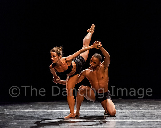 Absolute Rule-3879
