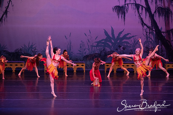 TDC La Bayadere pc Sharen Bradford-3012