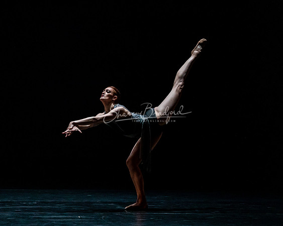 Elegy 2021 pc Sharen Bradford-0371