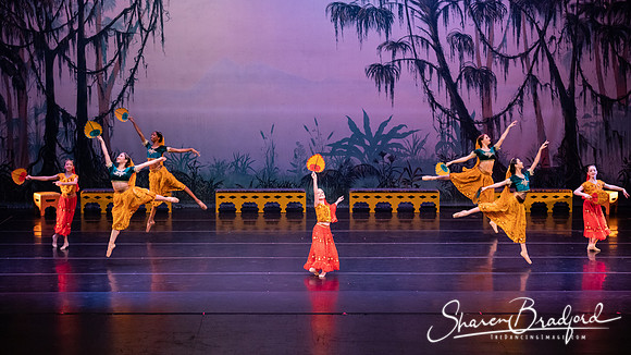TDC La Bayadere pc Sharen Bradford-2862