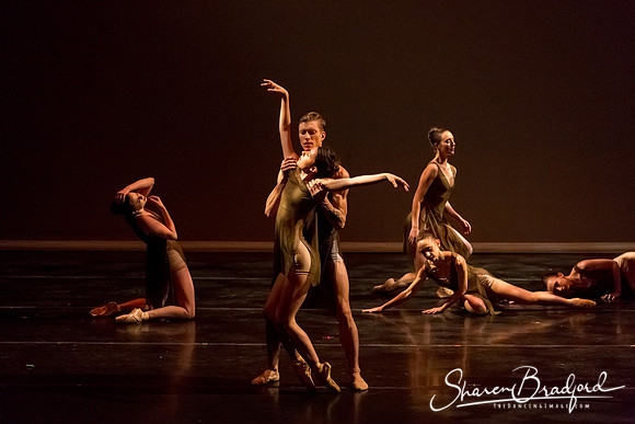 Ballet Dallas Seasons pc Sharen Bradford-1371