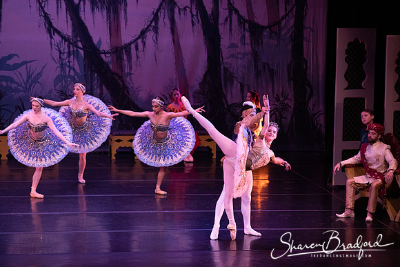 TDC La Bayadere pc Sharen Bradford-3157