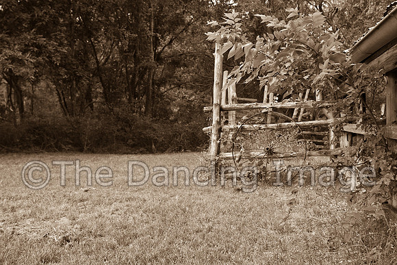 Penn Farm-0748