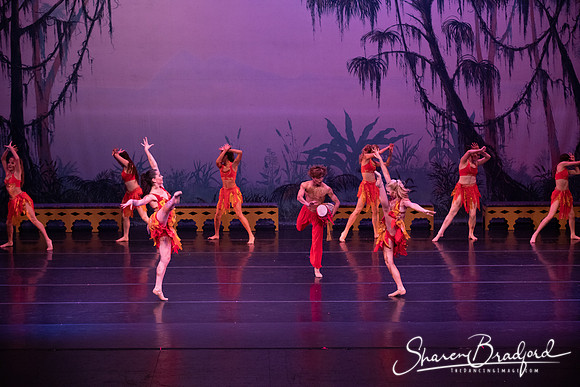 TDC La Bayadere pc Sharen Bradford-3011
