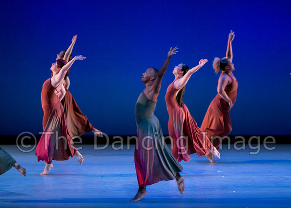 Houston METdance-3080