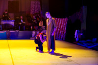 DCCD Aladdin pc Sharen Bradford-4642