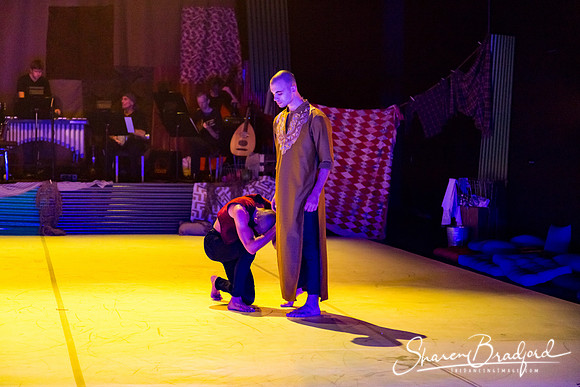 DCCD Aladdin pc Sharen Bradford-4642