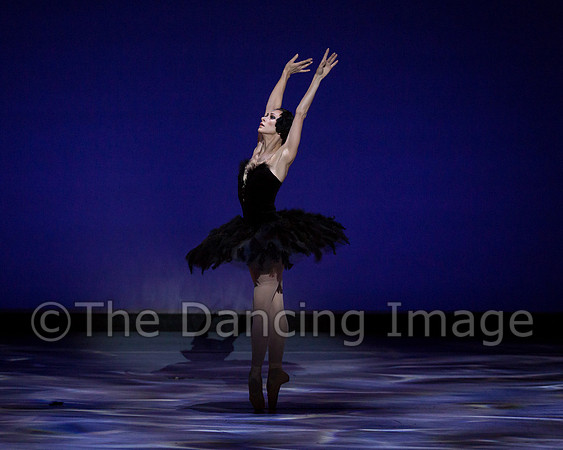 Olga Pavlova_The Dying Swan-3926