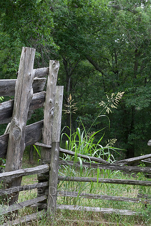Penn Farm-0772