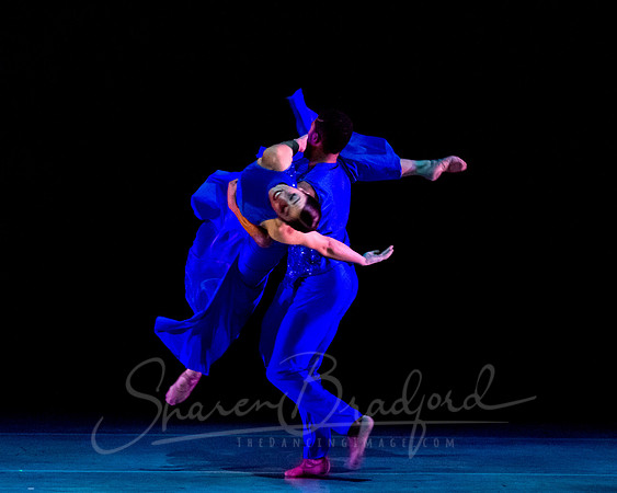 Following Echoes - pc Sharen Bradford-3112