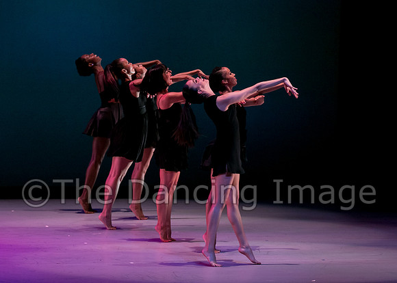 DBDT-2436