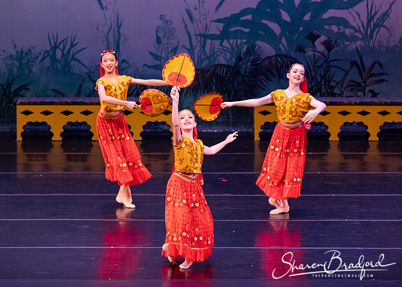 TDC La Bayadere pc Sharen Bradford-2870