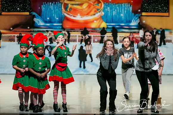 Rockefeller Christmas 1 pc Sharen Bradford-4775