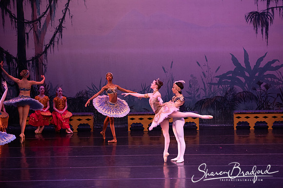 TDC La Bayadere pc Sharen Bradford-3169