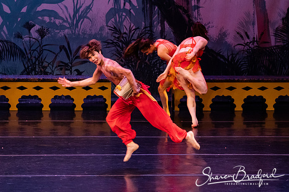 TDC La Bayadere pc Sharen Bradford-2978
