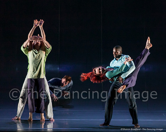 Motionhouse SCATTERED-0706