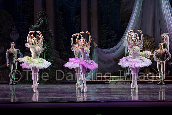 TB Sleeping Beauty Wed.-0077
