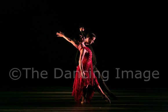 Chado Danse-2797