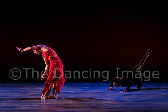Chado Danse-2844