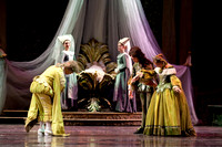 TB Sleeping Beauty Wed.-0003