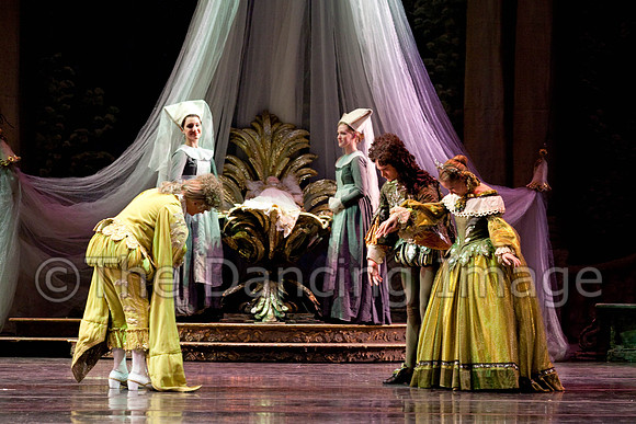 TB Sleeping Beauty Wed.-0003