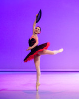 Don Quixote Pas de Deux