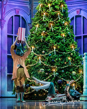 Nutcracker dress pc Sharen Bradford-3083