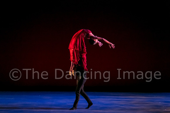 Chado Danse-2856