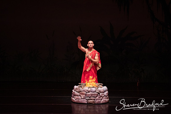 TDC La Bayadere pc Sharen Bradford-2652