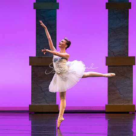 Ballet NTX Sleeping Beauty pc Sharen Bradford-1699