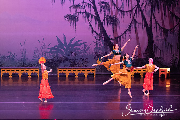 TDC La Bayadere pc Sharen Bradford-2860
