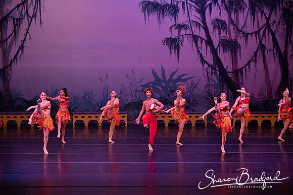 TDC La Bayadere pc Sharen Bradford-3052