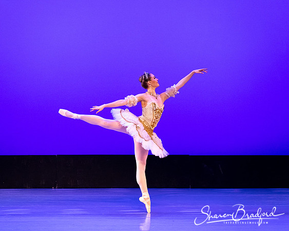 TBT Sleeping Beauty Pas pc Sharen Bradford-1529