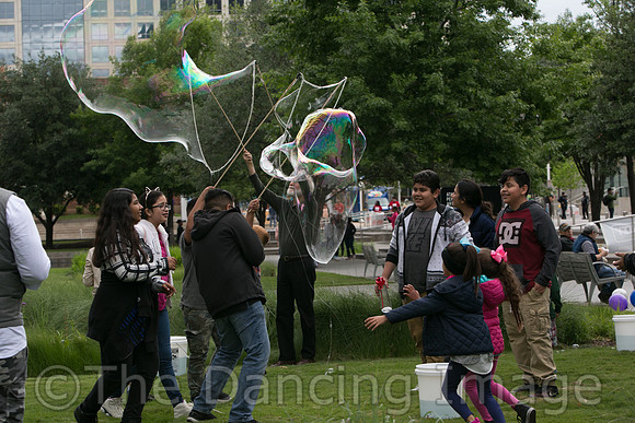 MJS_5232