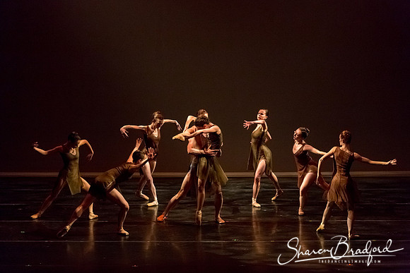 Ballet Dallas Seasons pc Sharen Bradford-1413