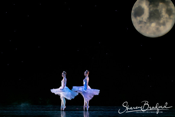 Nutcracker eve pc Sharen Bradford-6775