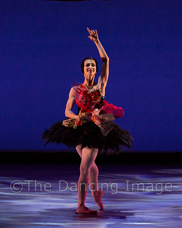 Olga Pavlova_The Dying Swan-3996