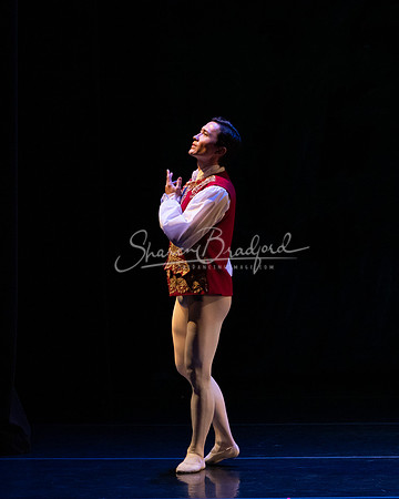 Ballet NTX Sleeping Beauty pc Sharen Bradford-1218