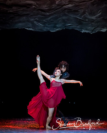 Beijing Dance Theater pc Sharen Bradford-0368