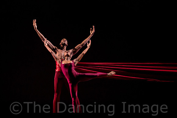 DBDT Encore-8693