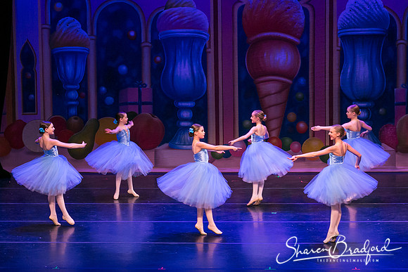 Waltz of the Flowers pc Sharen Bradford-1812
