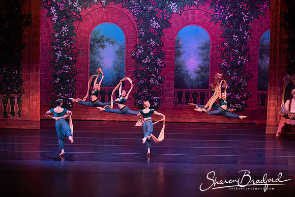 TDC La Bayadere pc Sharen Bradford-2775