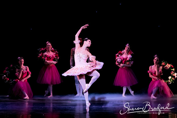 Nutcracker matinee pc Sharen Bradford-5329